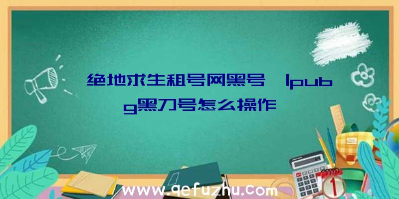 「绝地求生租号网黑号」|pubg黑刀号怎么操作